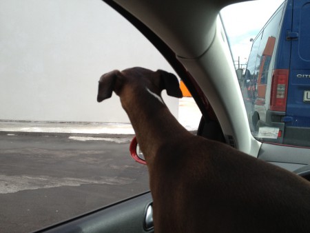 Jack har precis beställt lite god mat på MAX drive-in :)