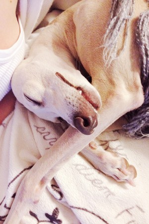 Alla möjliga ställningar kan man sova i tycker Himla