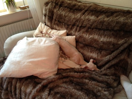 Så här kan man ligga tycker en liten Himla..