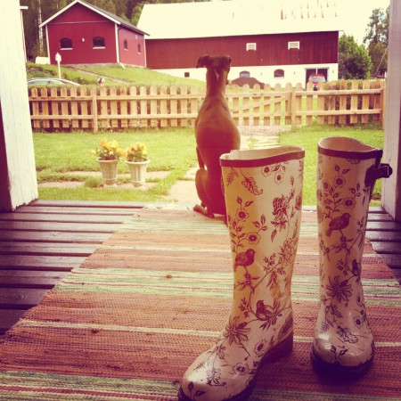 Jack filosoferar lite på trappen hos gamelmatte..