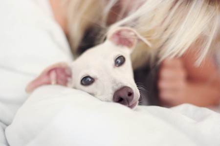 Så här kan man hitta Jack nästan varje morgon.... :)