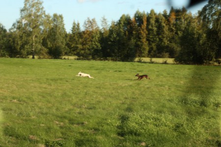 Fort ska det gå! :)