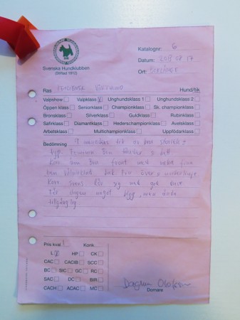 HIMLAS FÖRSTA UTSTÄLLNING. BORLÄNGE, 9 månader.