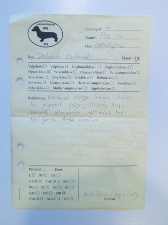 RIDDARHYTTAN, Himla fick sitt första Cert!