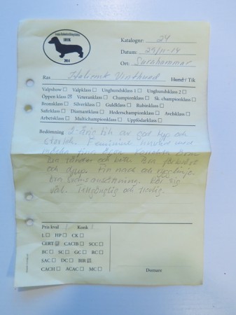 Surahammar, Himla's andra cert i SRUK.