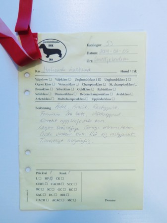 Smedjebacken 8/2, Himla blev BIS (unghund) 2a för andra gången. Kul!