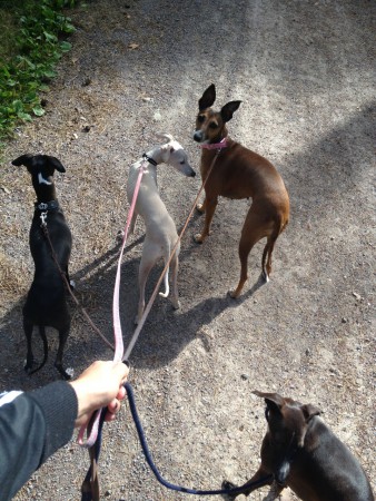 Alla möjliga färger & storlekar igen! :)