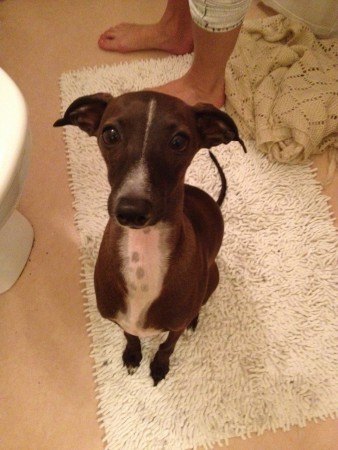 Dom där ögonen... <3